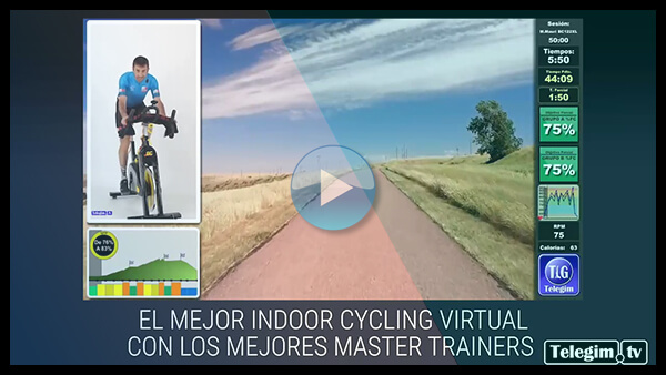 video_info_telegim_tv